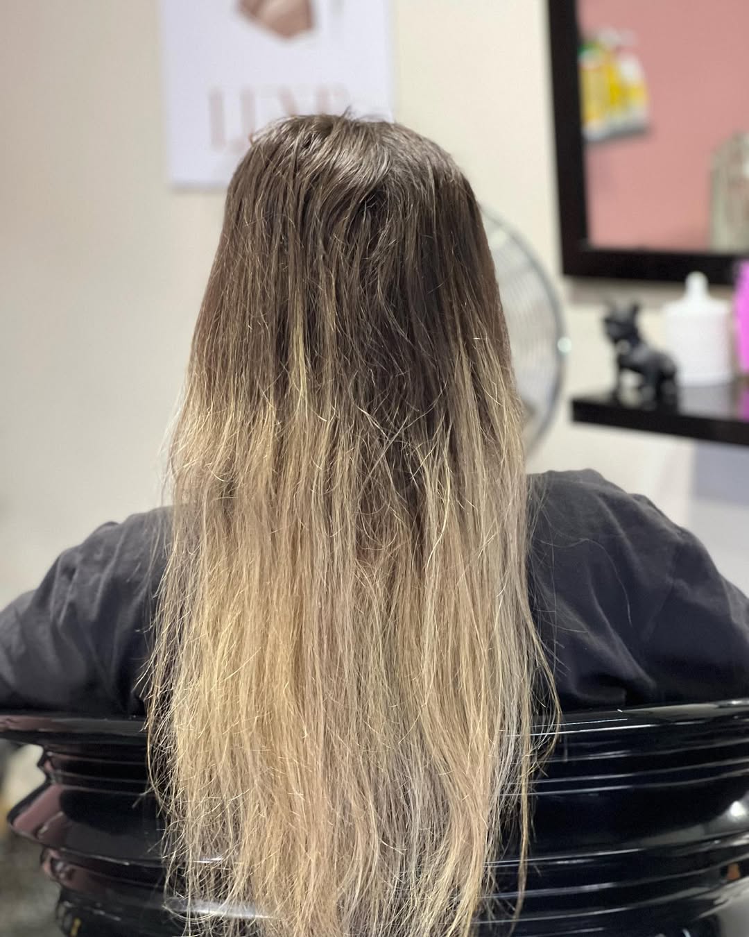 Client hair before colour and extensions at Luxe Hair and Beauty